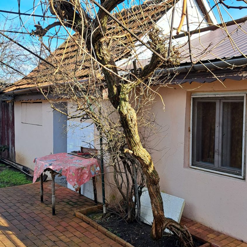 🏡 Casă de vânzare în Salonta – Zona Moara