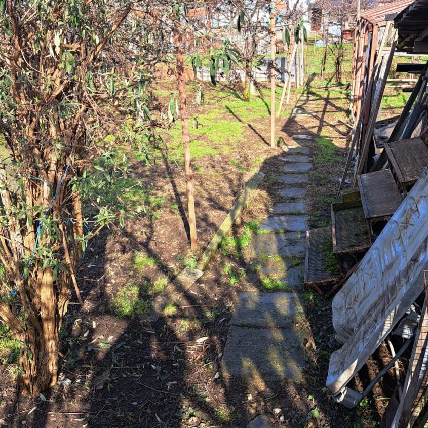 🏡 Casă de vânzare în Salonta – Zona Moara