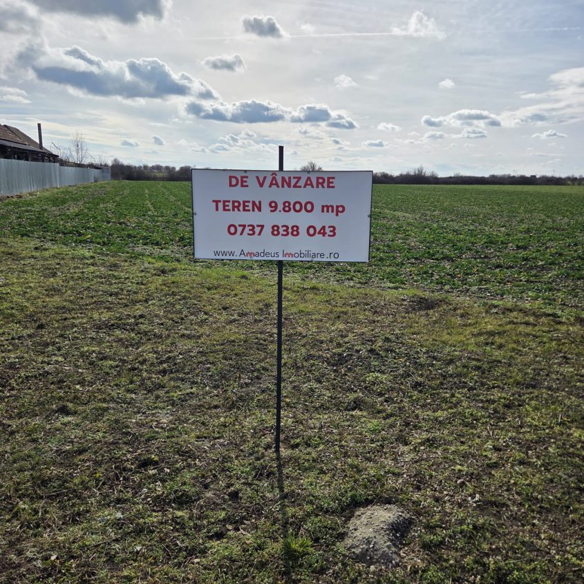 📍 Teren intravilan de vânzare în Salonta – 9.800 mp