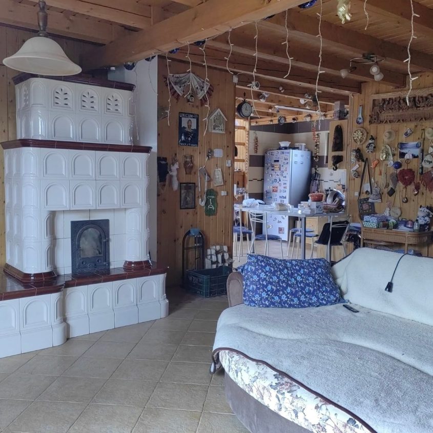 🏡 Casă de vacanță de vânzare în Bălnaca – 170 mp utili • 3000 mp teren