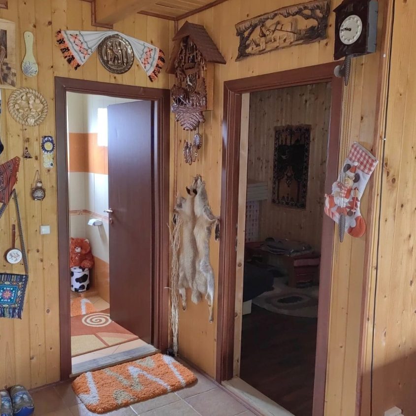 🏡 Casă de vacanță de vânzare în Bălnaca – 170 mp utili • 3000 mp teren
