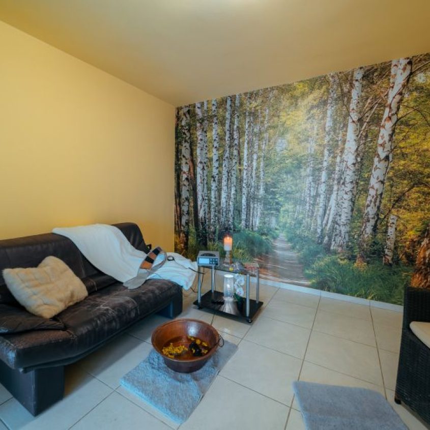 De Vanzare Hotel Aqua Thermal Spa&Relax *** din Băile 1 Mai – Felix
