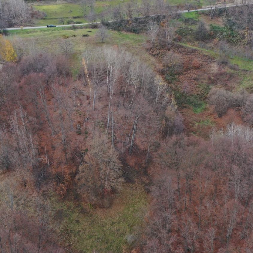 🌿 Teren de vânzare – 14.731 mp – Roșia, județul Bihor 🏡