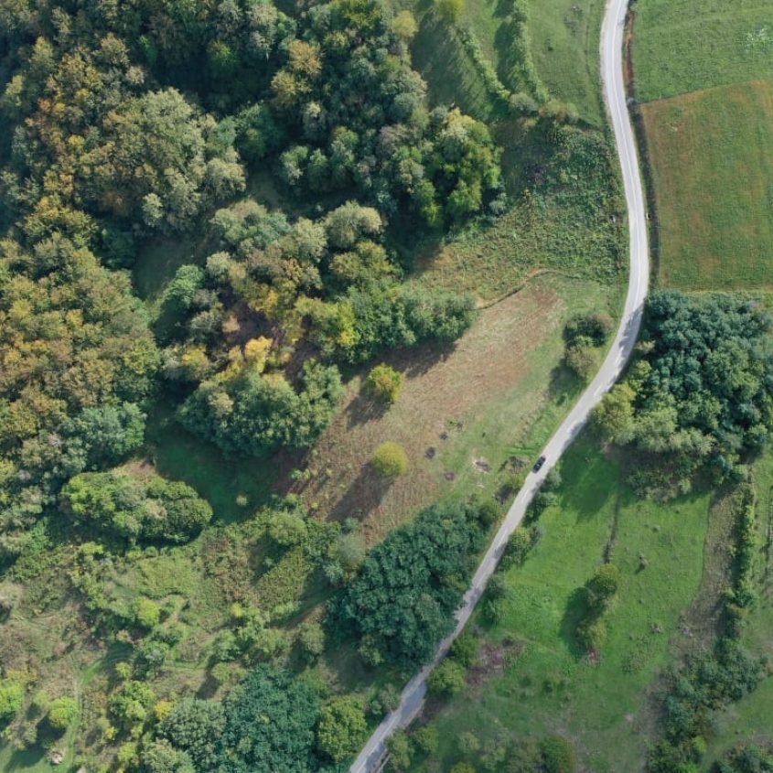 🌿 Teren de vânzare – 14.731 mp – Roșia, județul Bihor 🏡