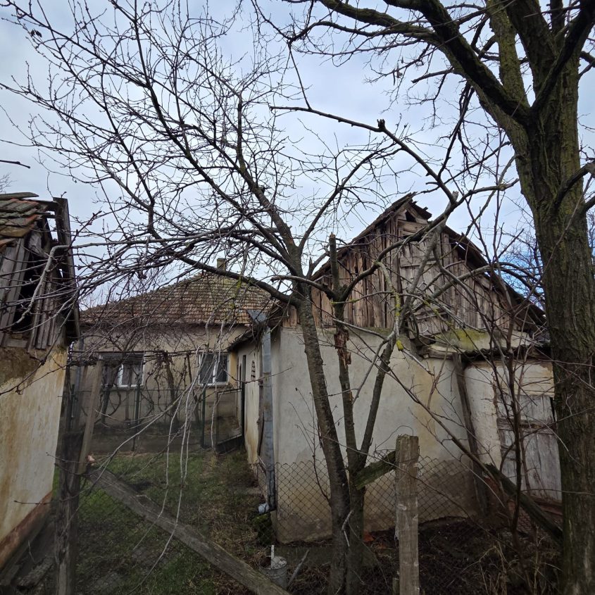 Casă de vânzare în Boiu, județul Bihor – zonă liniștită, teren generos