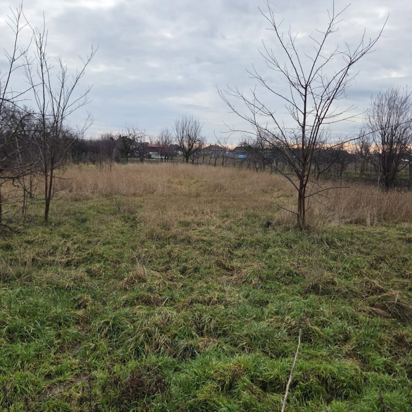 Casă de vânzare în Boiu, județul Bihor – zonă liniștită, teren generos