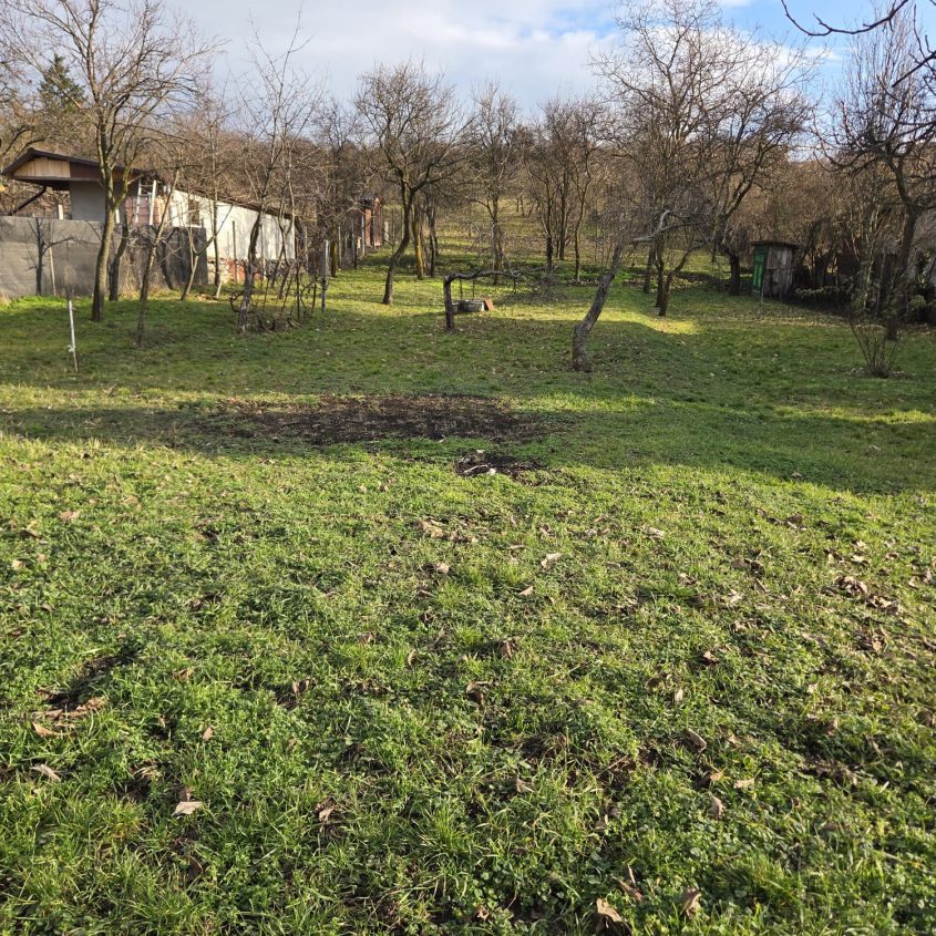 🏡 Casă de vânzare în Oradea – Dealul Viilor/Oncea – Teren generos, oportunitate dezvoltare