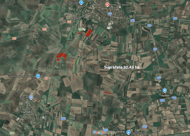 🌾 Teren agricol de vânzare – 78,37 ha – Bihor (Salonta, Oradea) 🚜