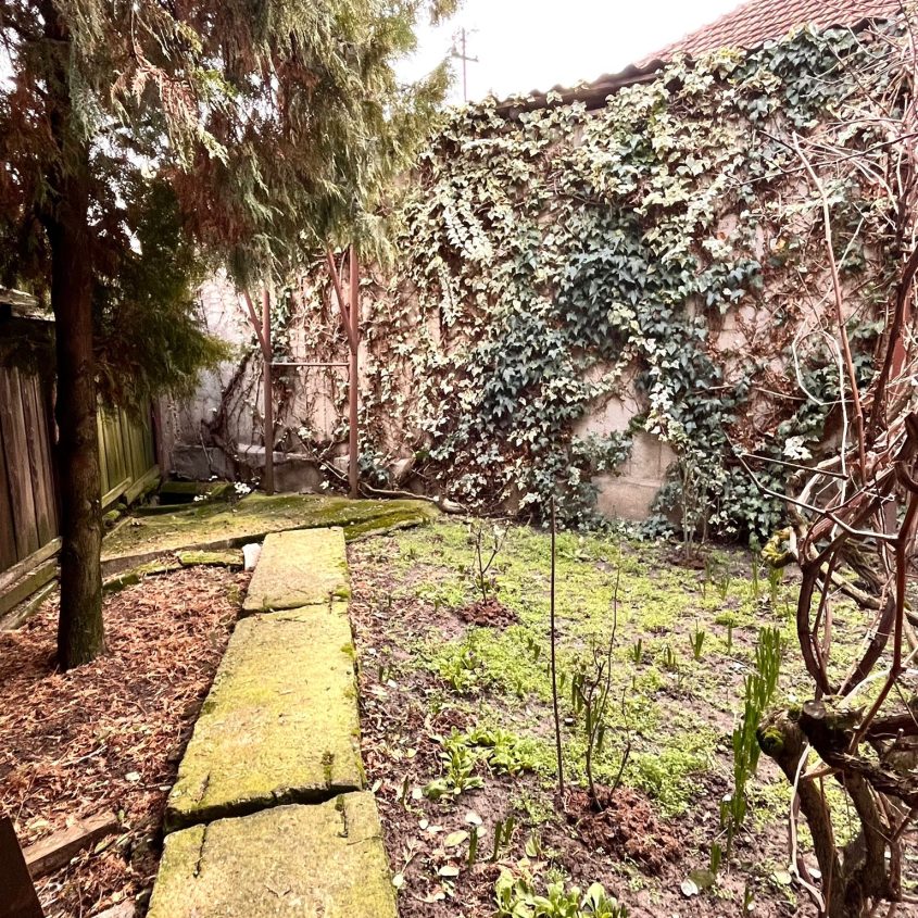 🏡 Casă de vânzare în Salonta