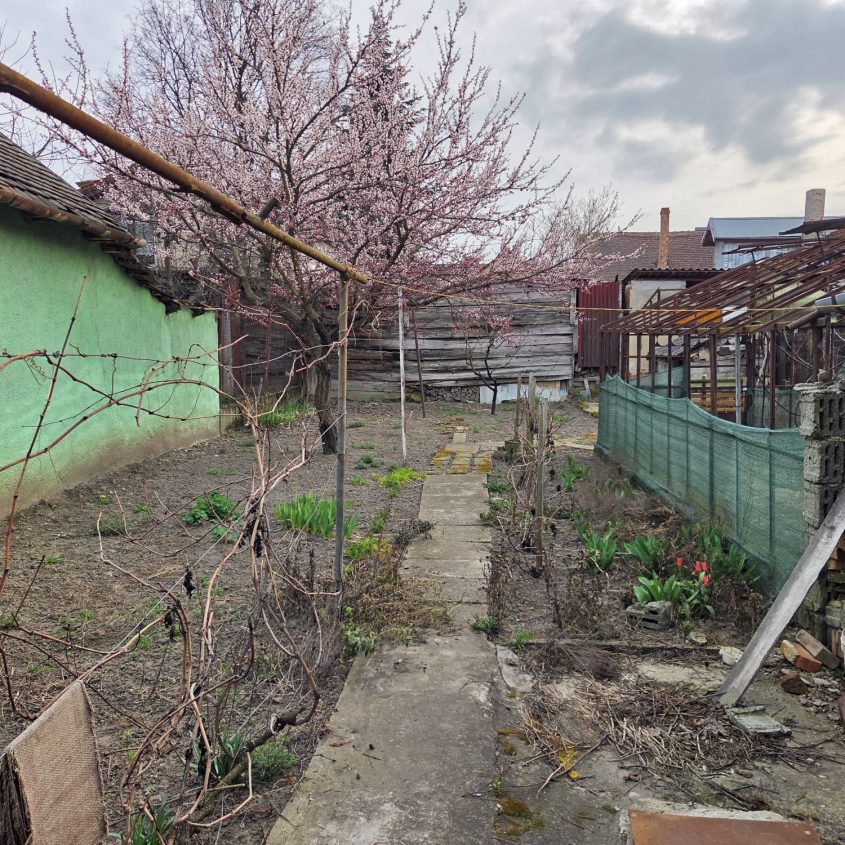 🏡 Casă cu 3 camere de vânzare în Salonta