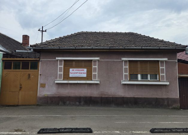 🏡 Casă cu 3 camere de vânzare în Salonta