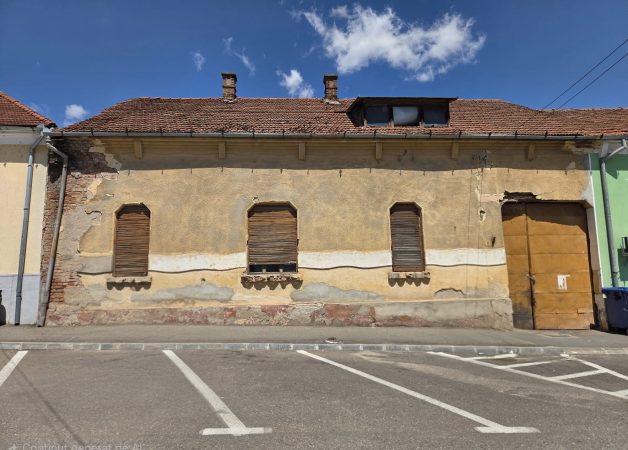 🏡 Casă de vânzare – Ultracentral, Tinca