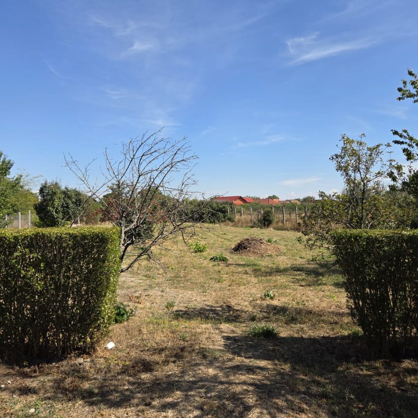 🏡 Casă de vânzare în Ciumeghiu