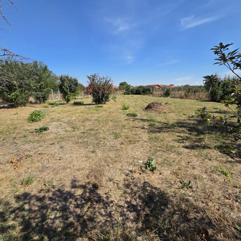 🏡 Casă de vânzare în Ciumeghiu